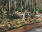Bosbegraafplaats Witteveen met verschillende grafstenen, lantaarns en planten