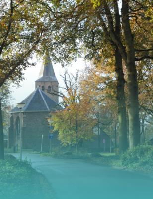 Beeld van een weg door het dorp Westerbork met zicht op de kerk, langs de weg staan bomen. 