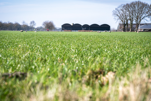 Foto van een buitengebied in de gemeente midden-drenthe