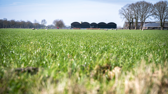 Foto van een buitengebied in de gemeente midden-drenthe