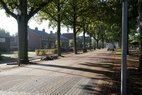 Esweg bij het zebrapad van basisschool De Eshorst