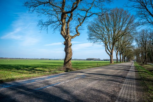 Gebied rondom De Haar