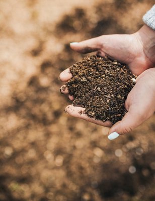 Foto van een persoon die compost opraapt