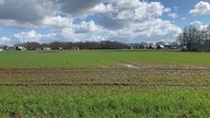 Een groen weiland met op de achtergrond de eerste huizen van Lievingerveld.